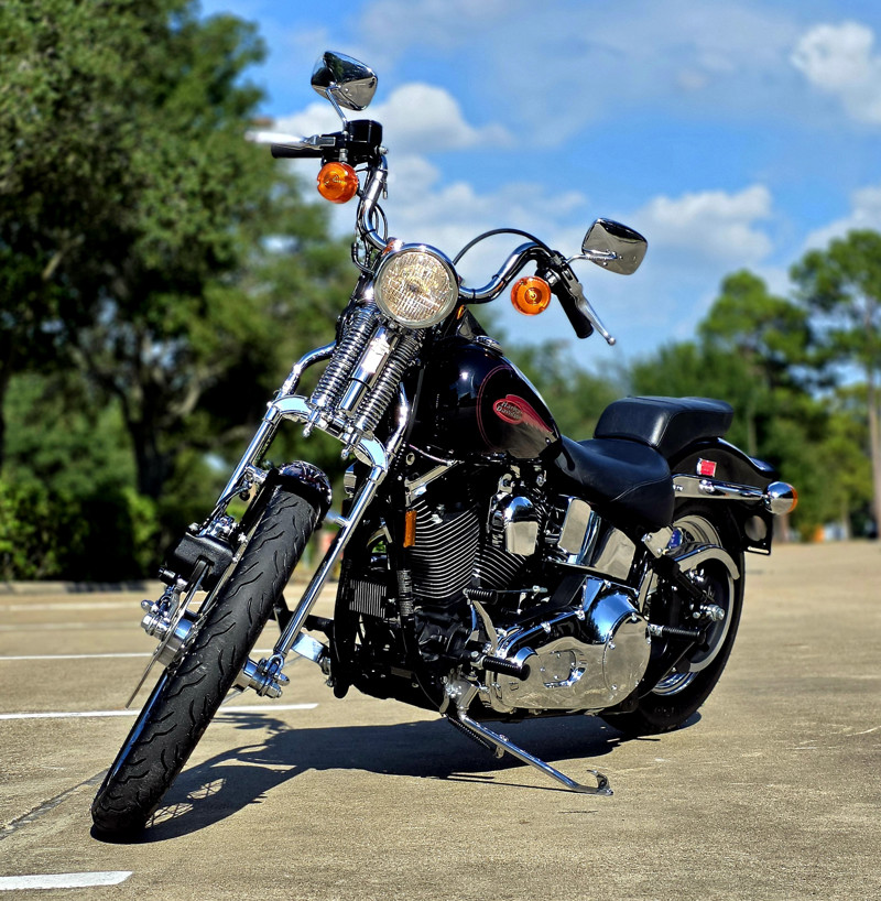 Springer® Softail®