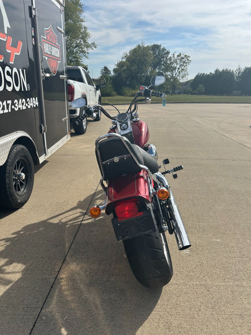 Softail® Custom