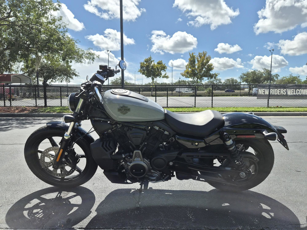 Nightster