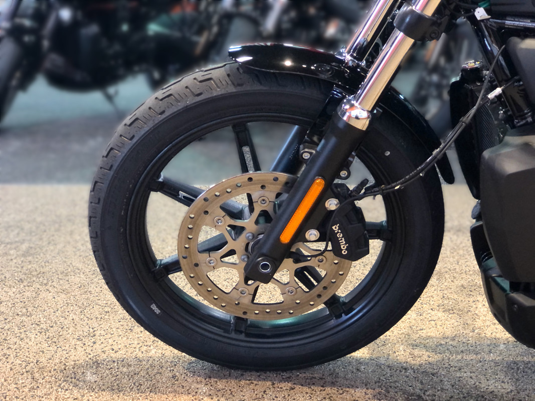 Nightster