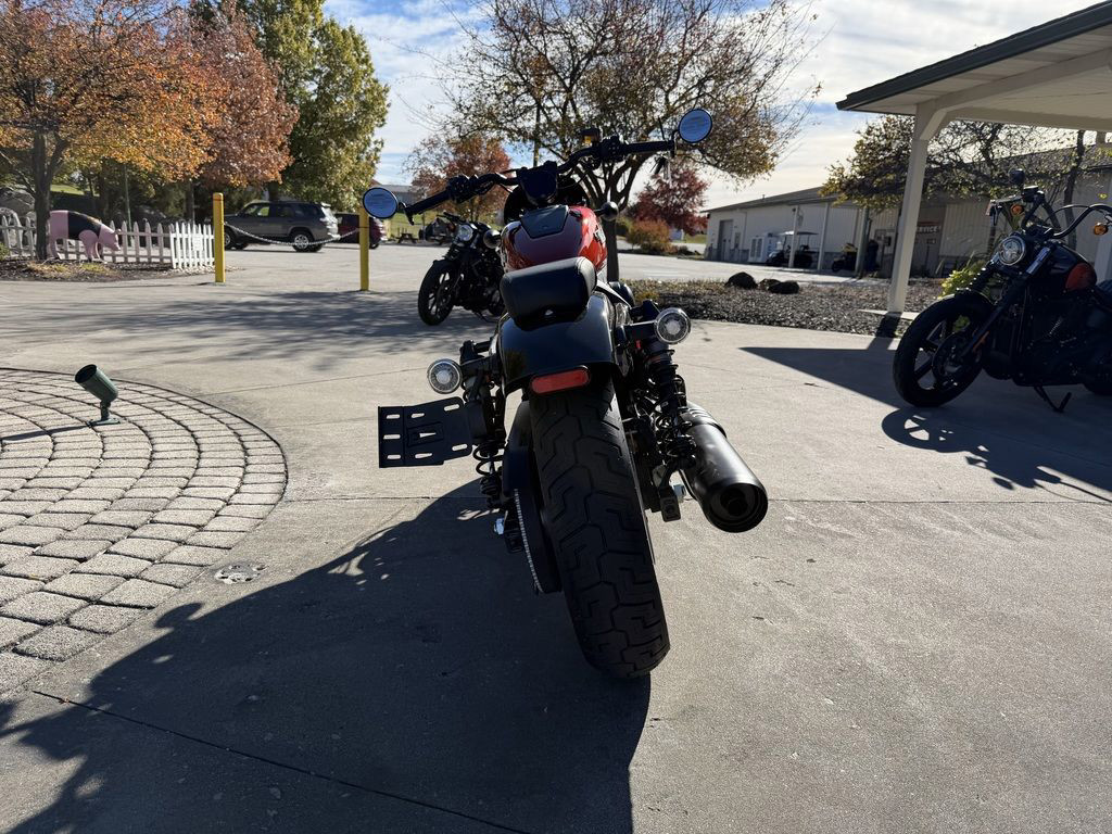 Nightster Special