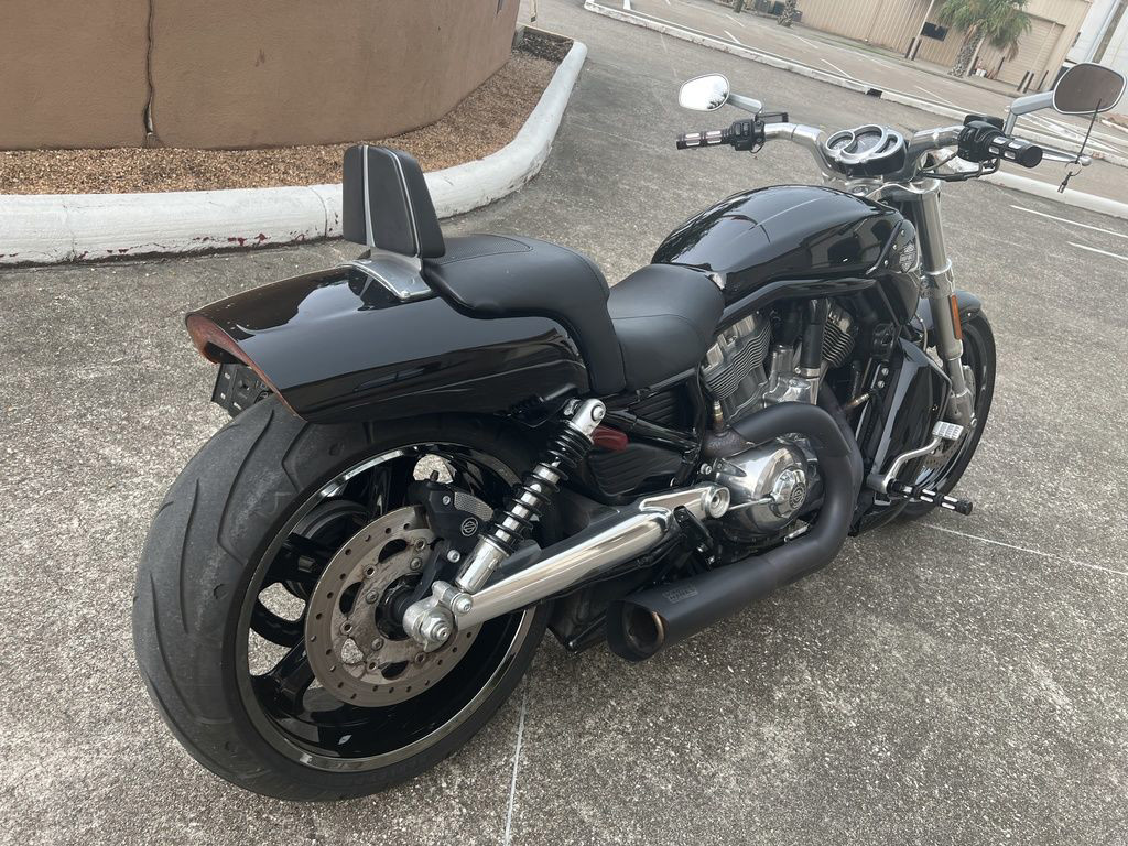 V-Rod® Muscle