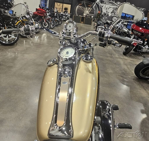 Softail® Deuce®