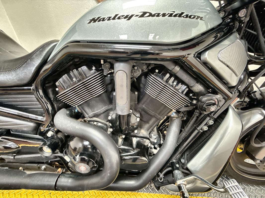 Night Rod® Special