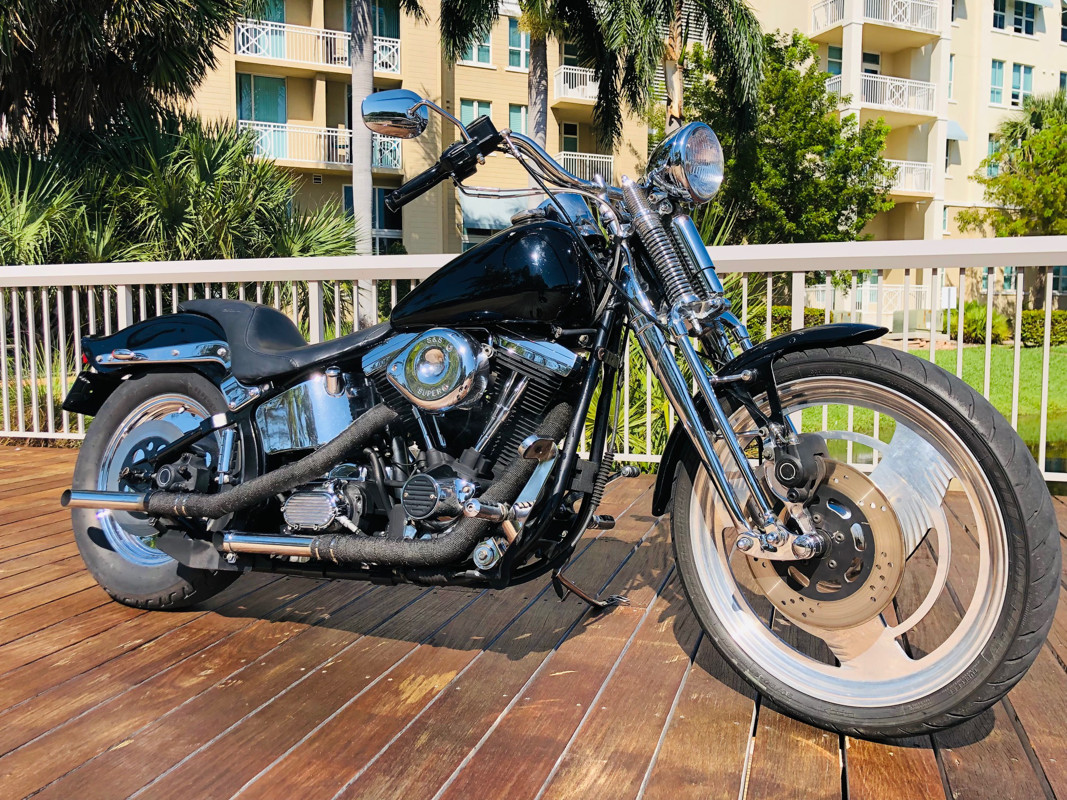 Harley davidson springer softail deals for sale