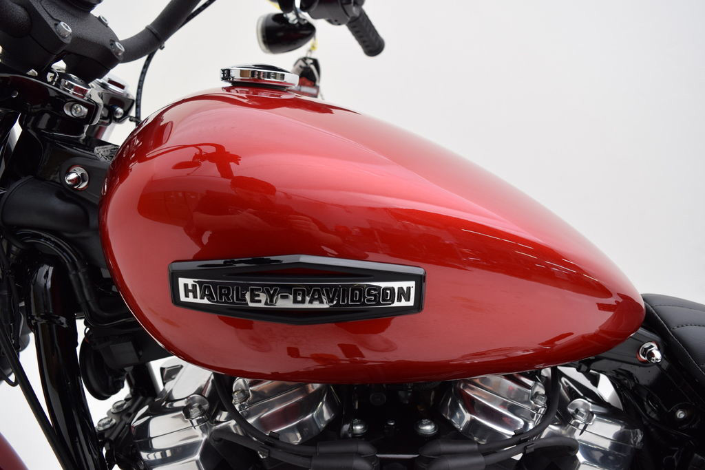 Street Bob®