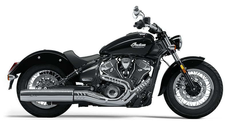 Scout Classic Limited
