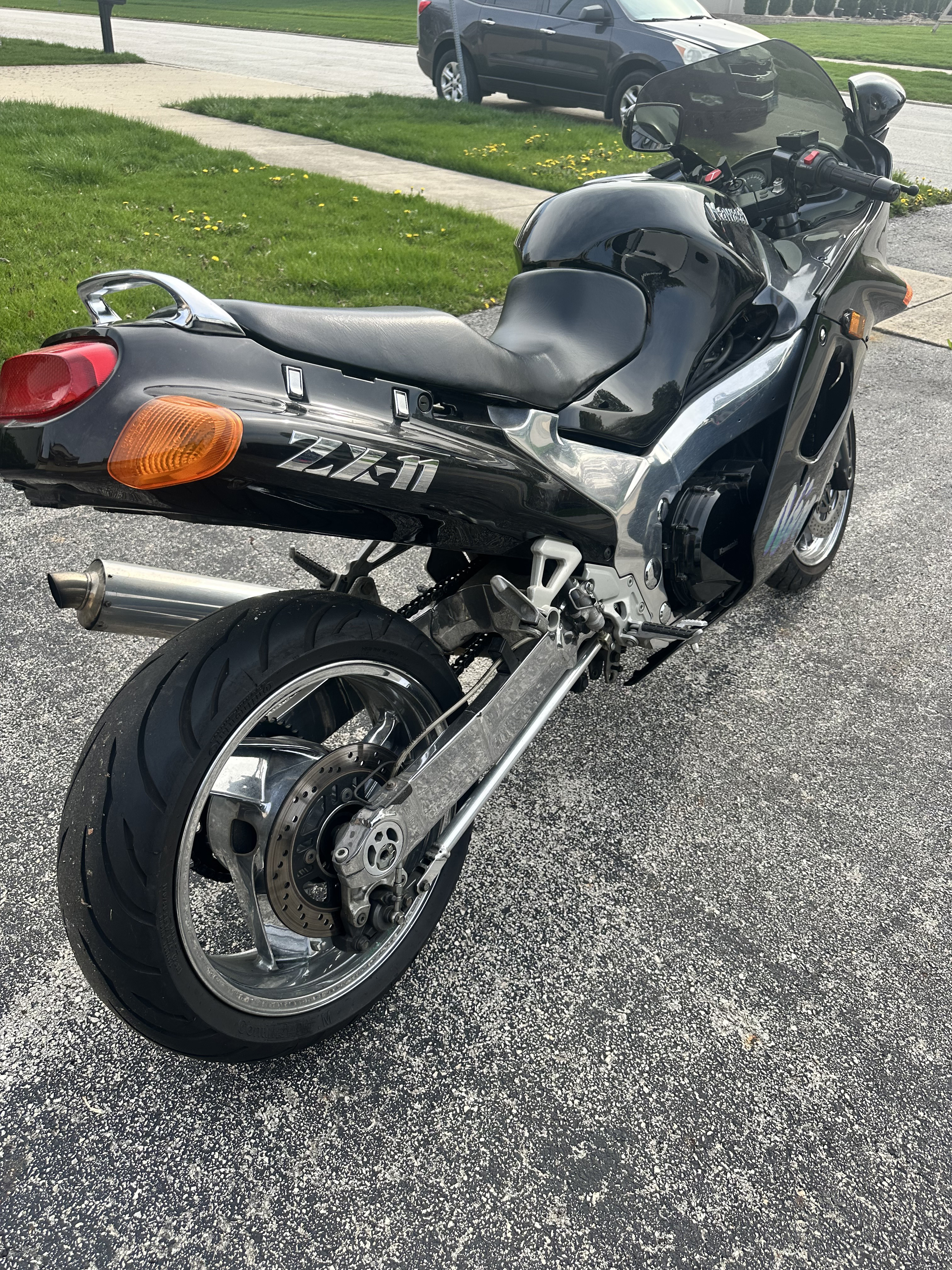 コキンちゃん コキンちゃん