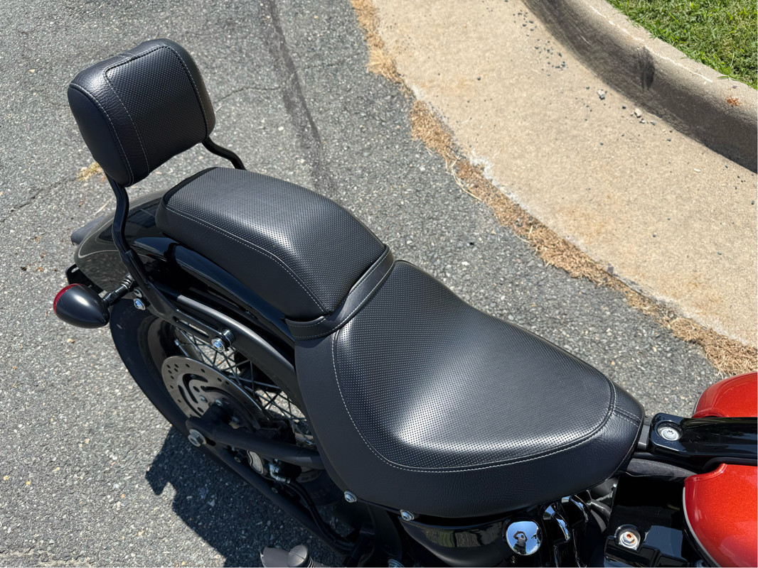 Softail® Blackline™