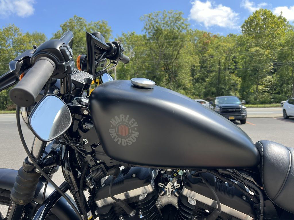 Iron 883®