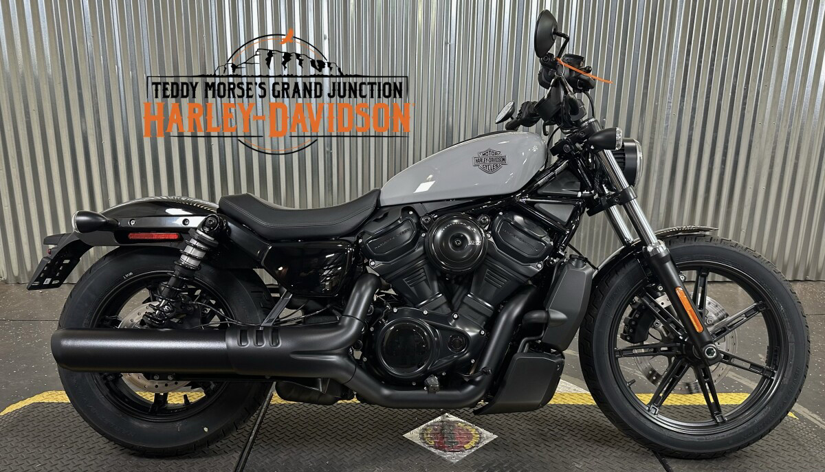 Nightster Special