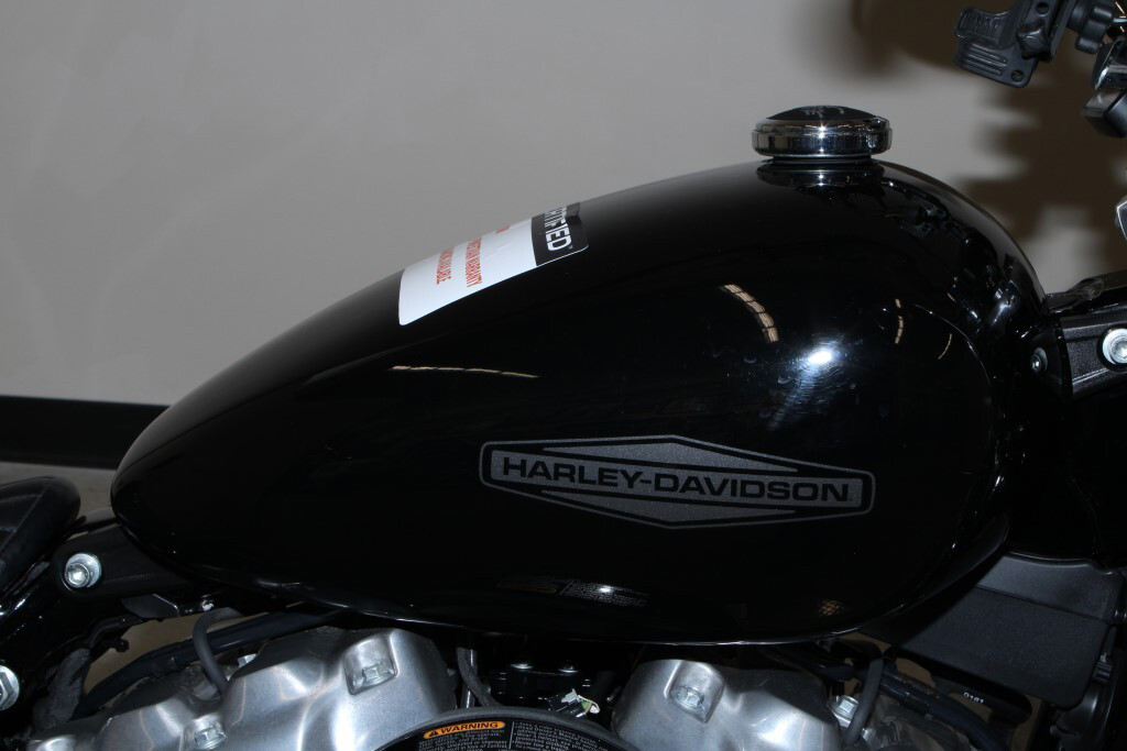 Softail® Standard