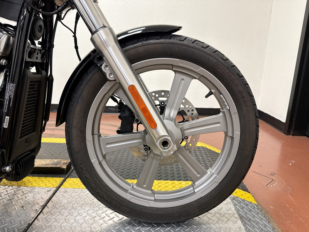Softail® Standard