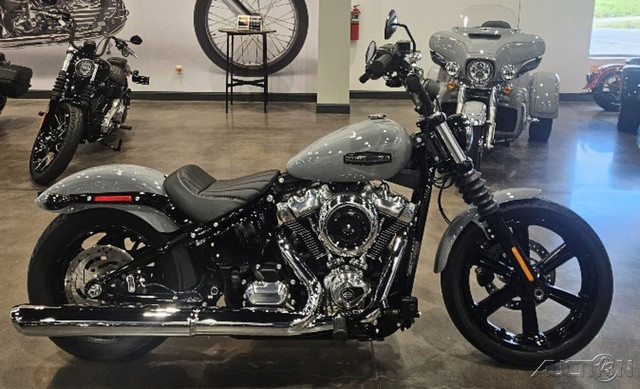 Street Bob®