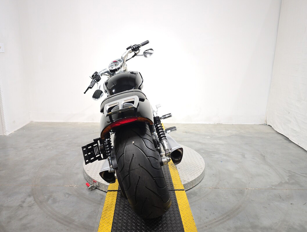 V-Rod® Muscle