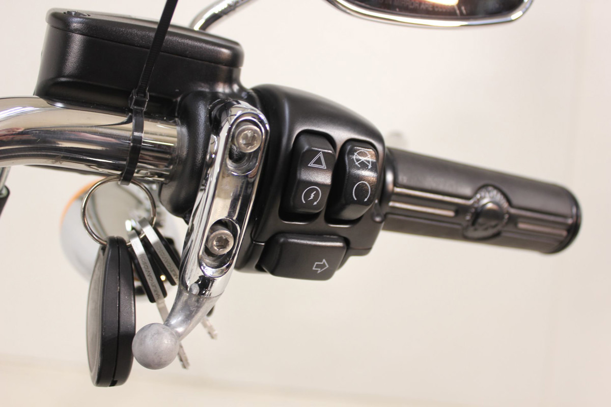 Softail® Standard