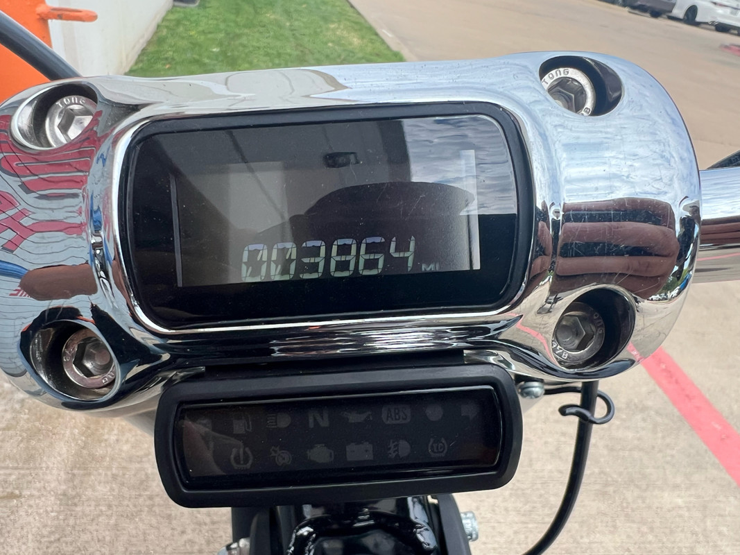 Softail® Standard