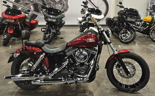 Dyna® Street Bob®
