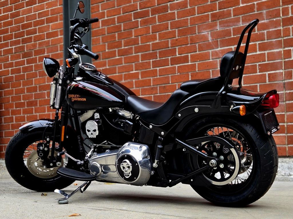 Softail® Cross Bones®