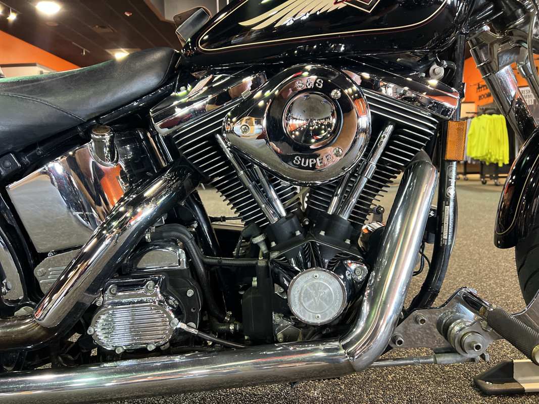 Springer® Softail®