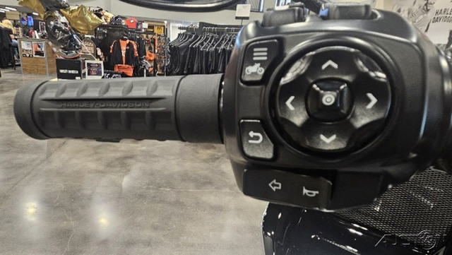 Road Glide® 3