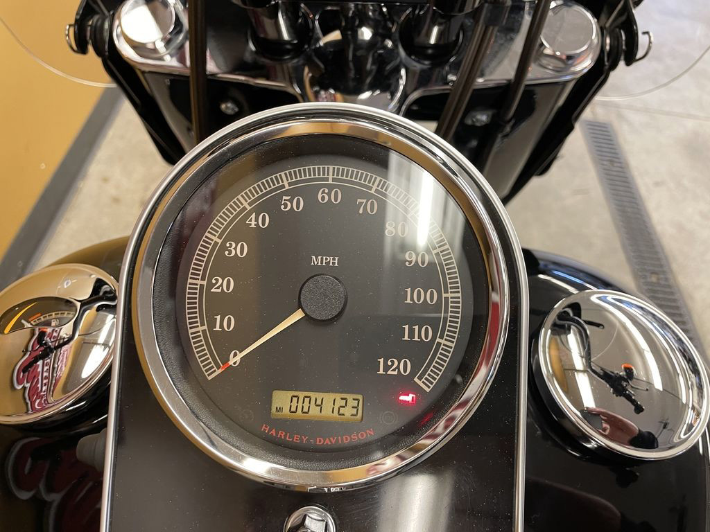 Softail® Fat Boy® Lo