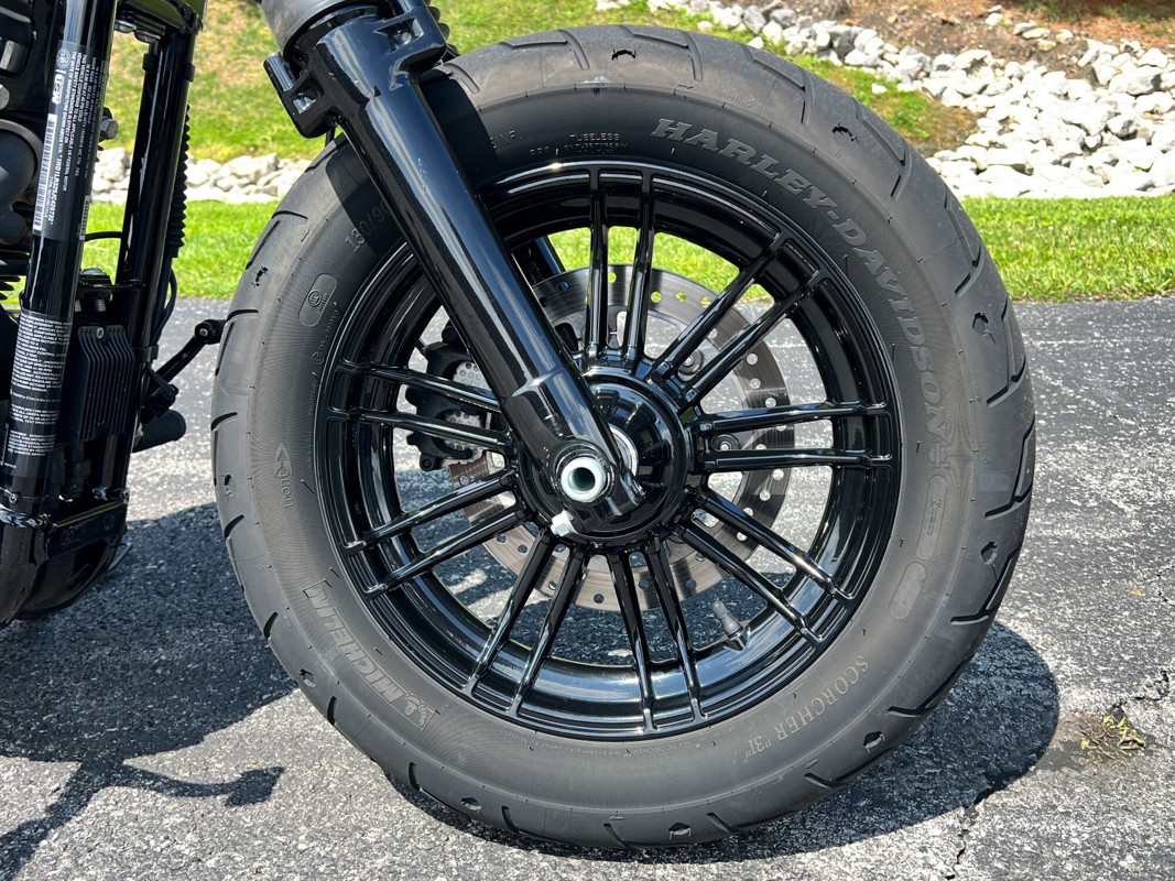 Sportster® Forty-Eight® Special