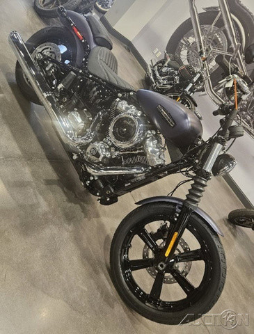 Street Bob®
