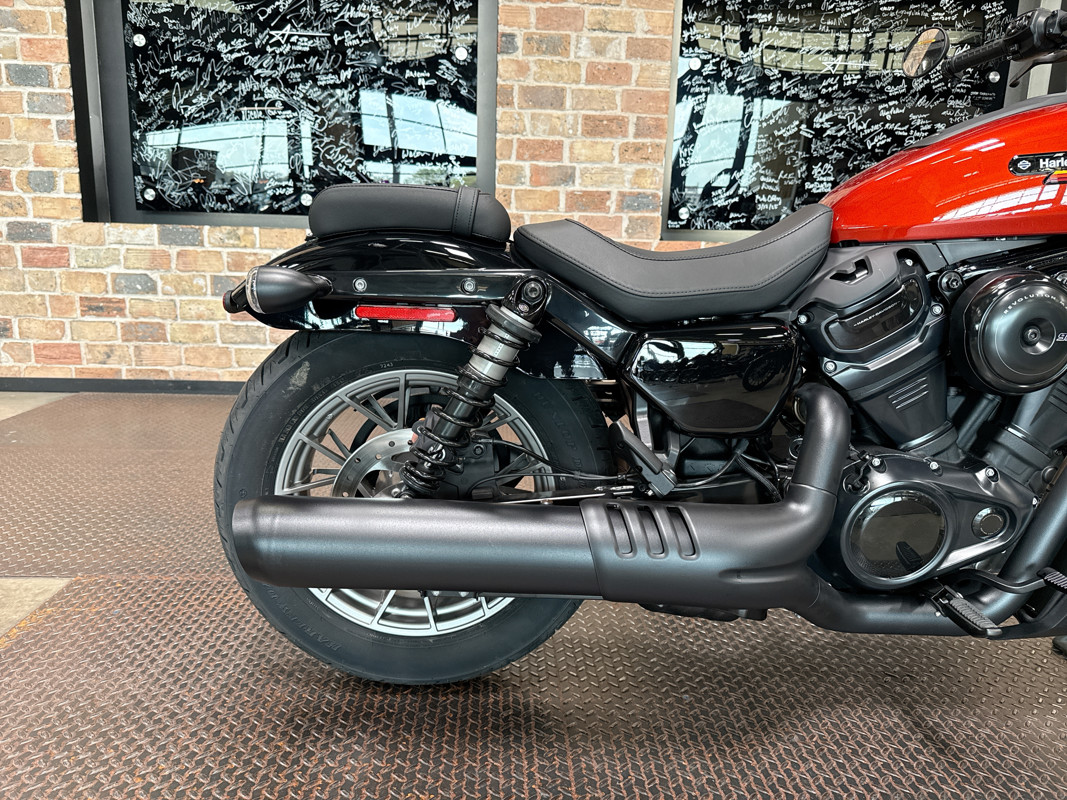 Nightster Special