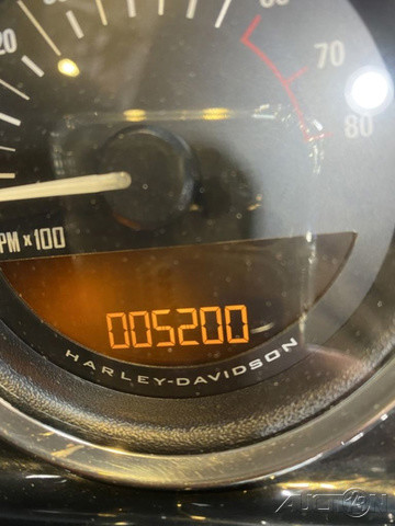 Sportster® Roadster®