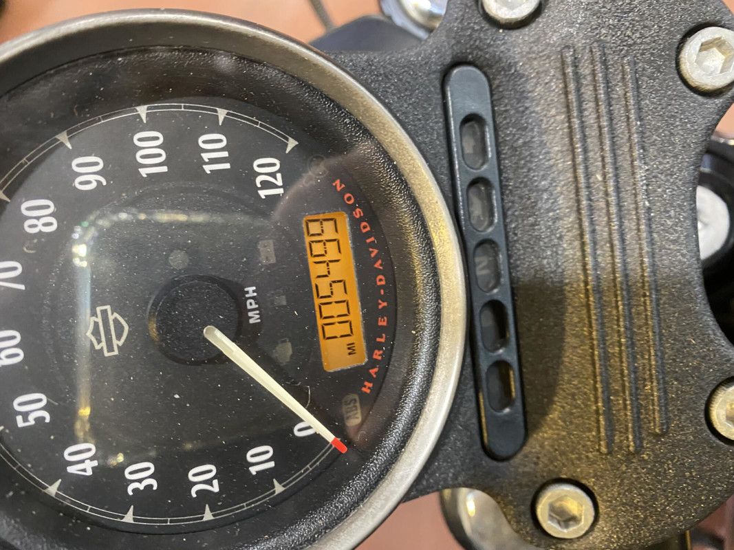 Iron 883®