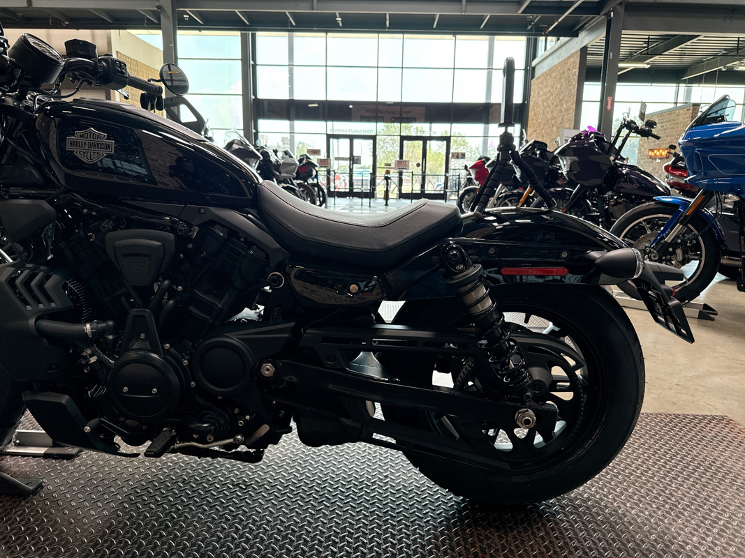 Nightster