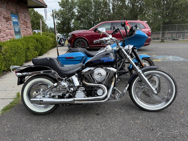 Softail® Custom