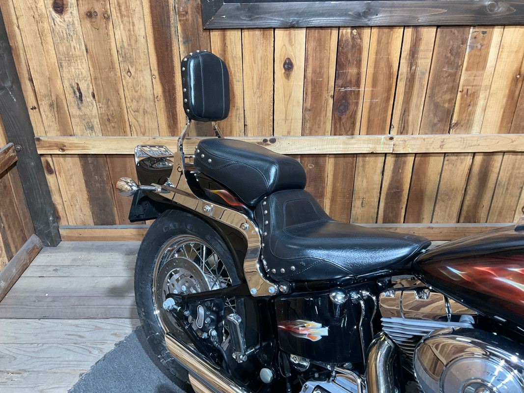 Softail® Standard