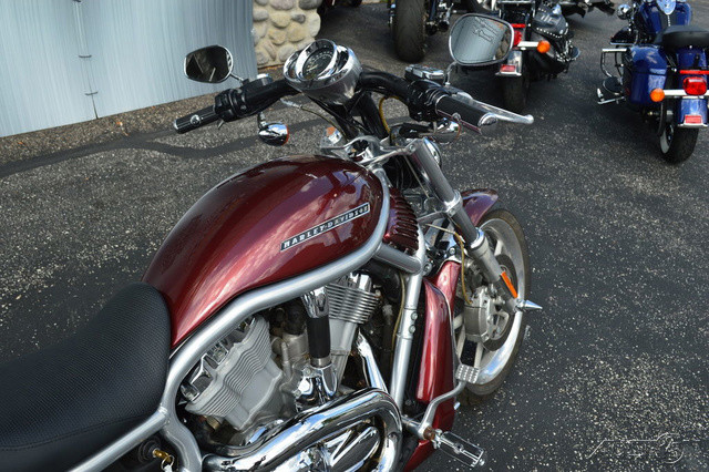 V-Rod®