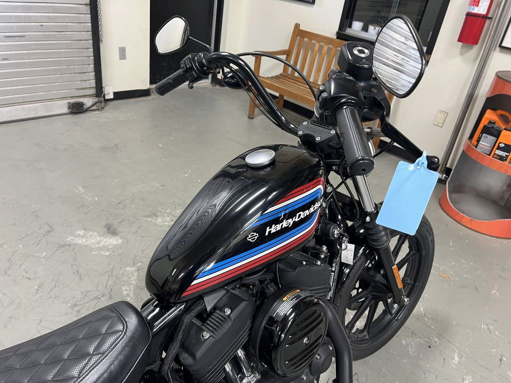 Iron 1200®
