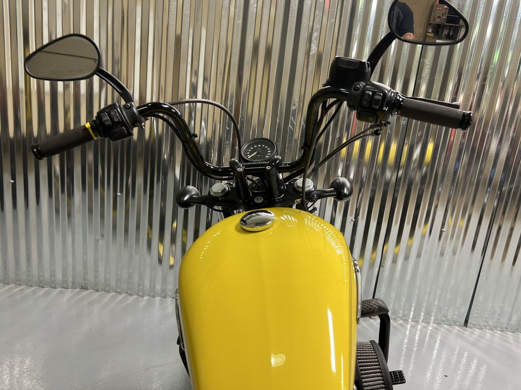 Sportster® Forty-Eight®
