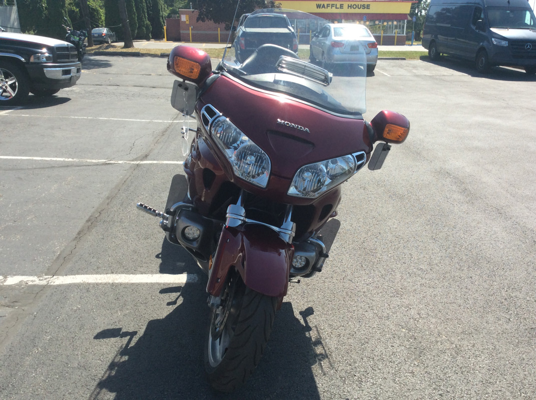 Gold Wing
