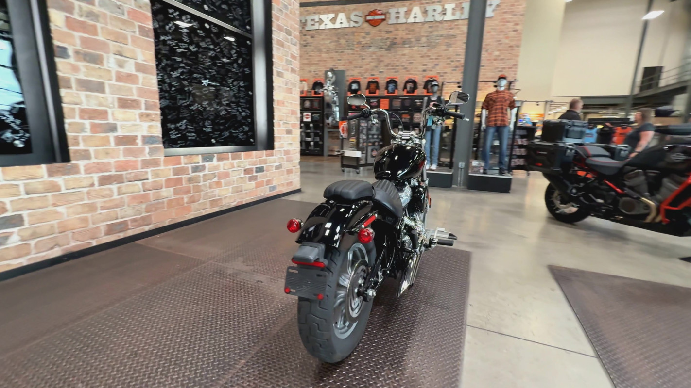 Softail® Standard