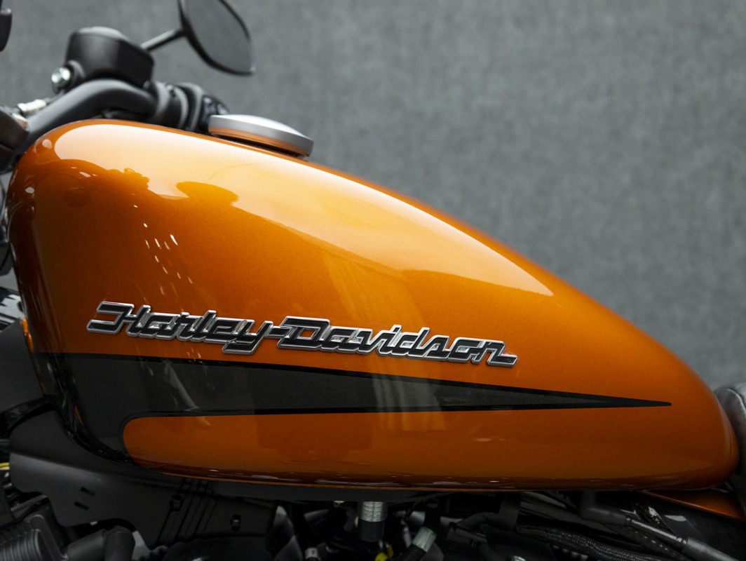 Iron 883®