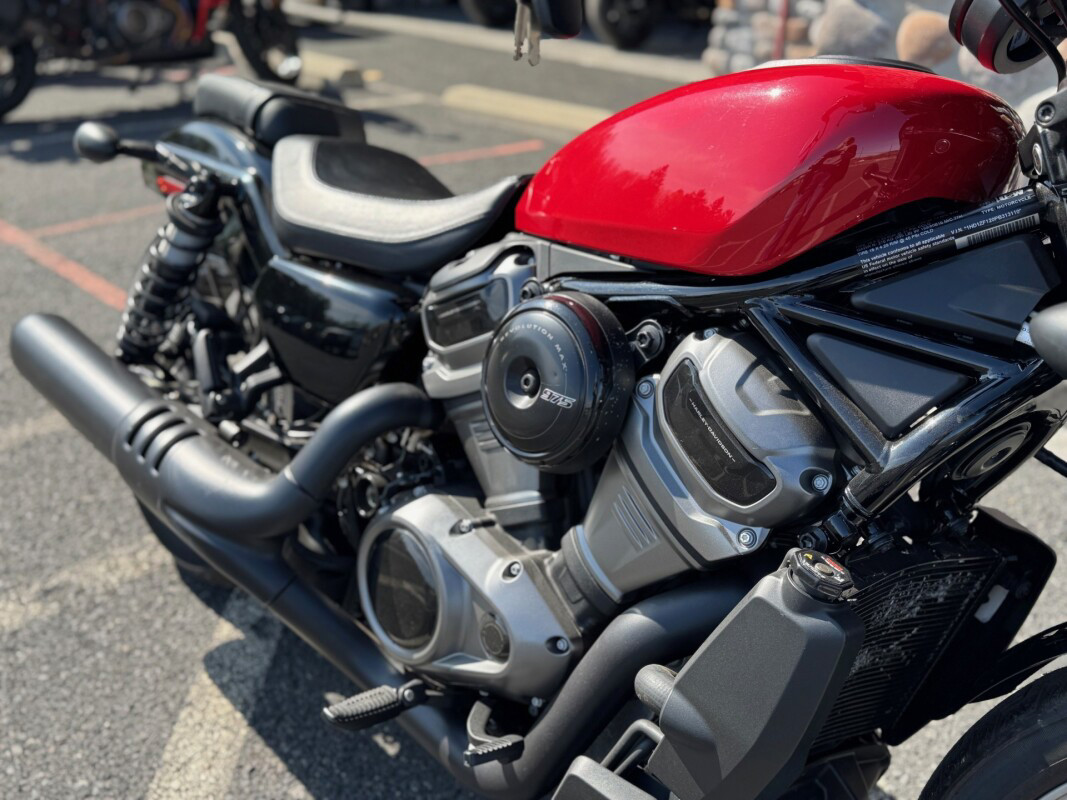 Nightster Special