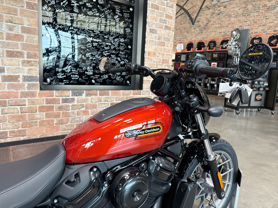 Nightster Special