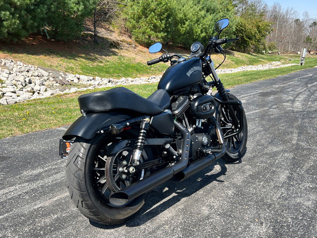 Sportster® Iron 883®