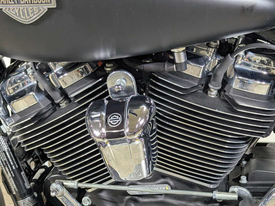Street Glide® Special