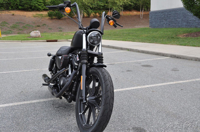 Iron 883®