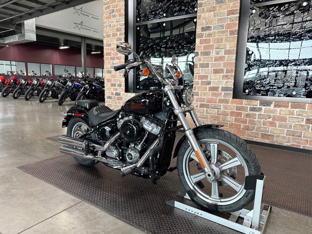 Softail® Standard