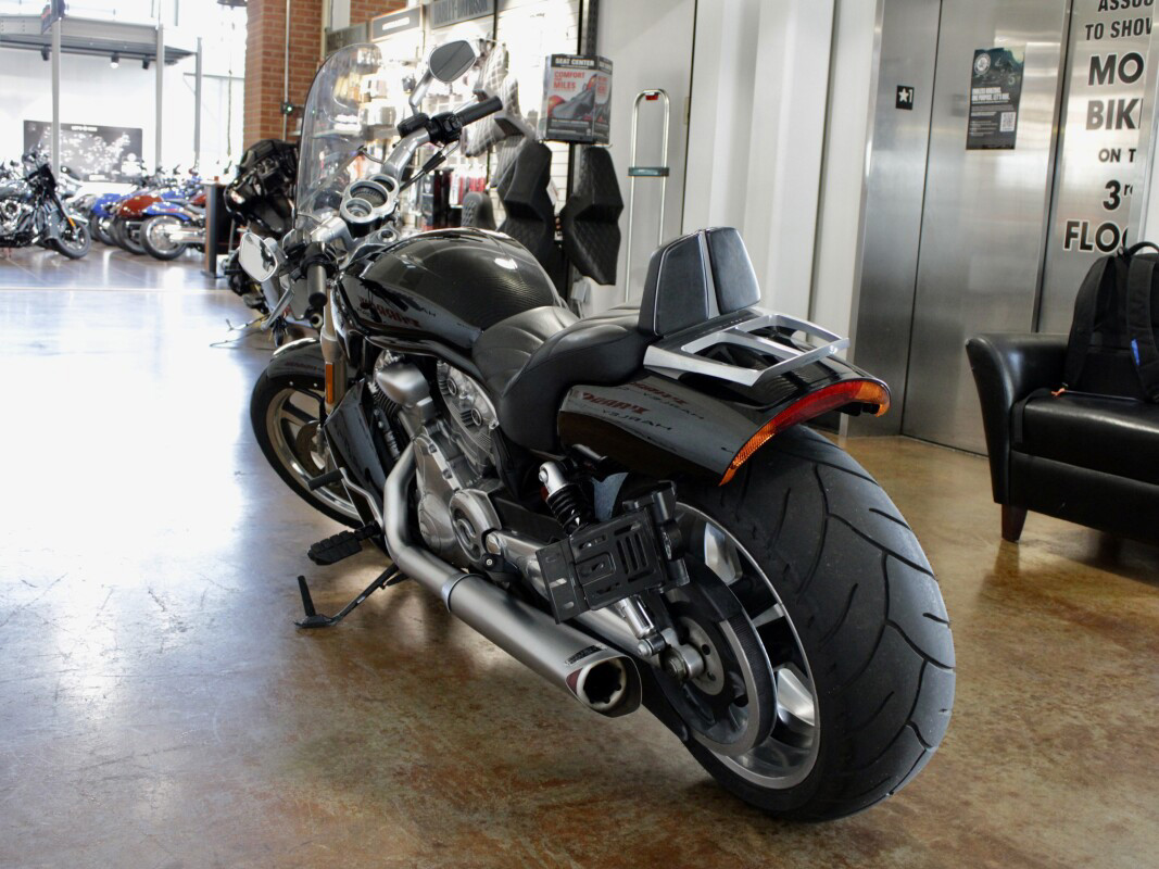 V-Rod® Muscle