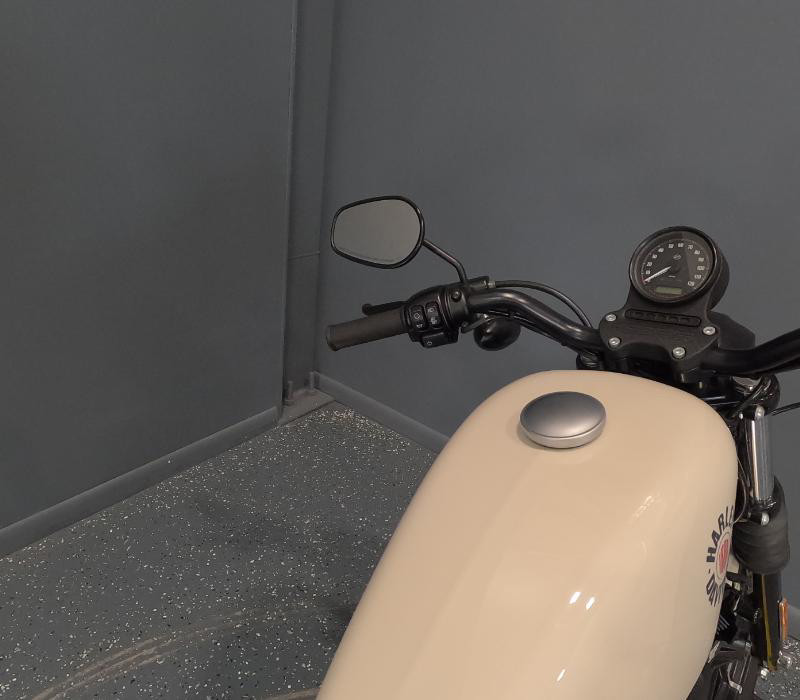 Iron 883®
