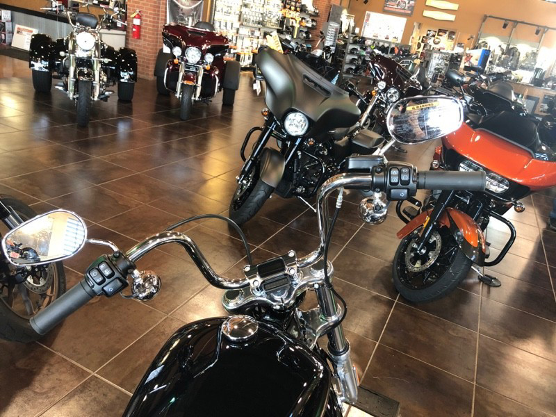 Softail® Standard