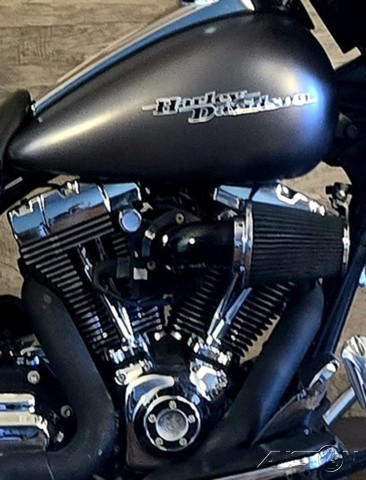 Street Glide® Special